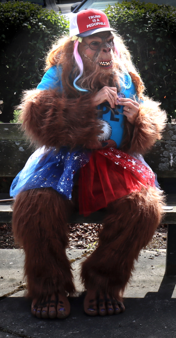 Monkey costume